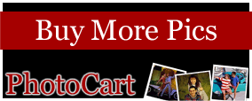 bodyline studio photocart order more pictures